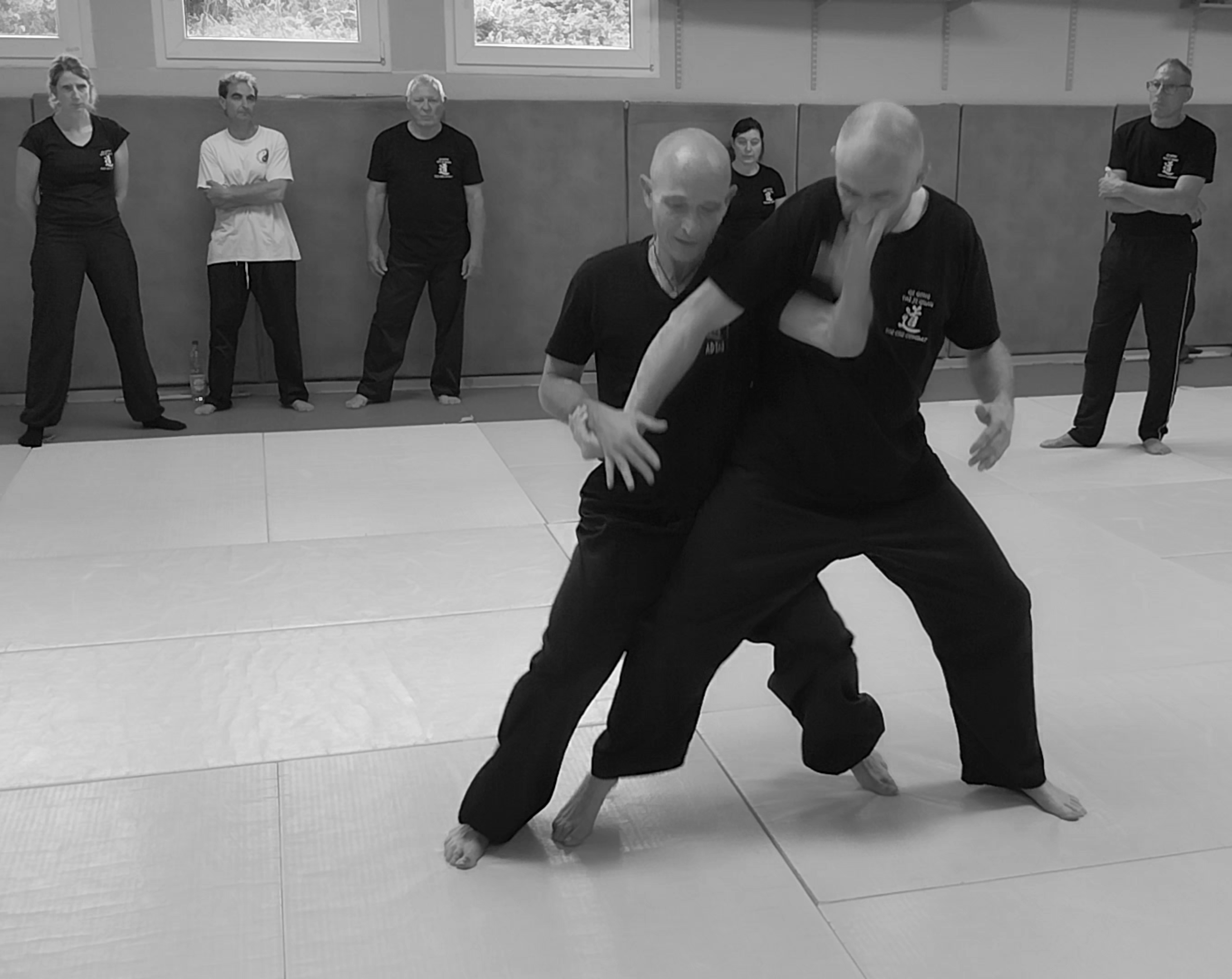 Tai Chi Combat